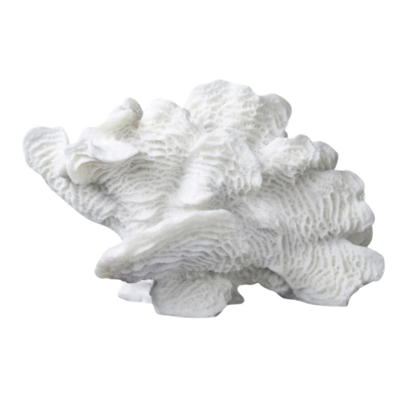 Mette Ditmer-collectie CORAL fan White