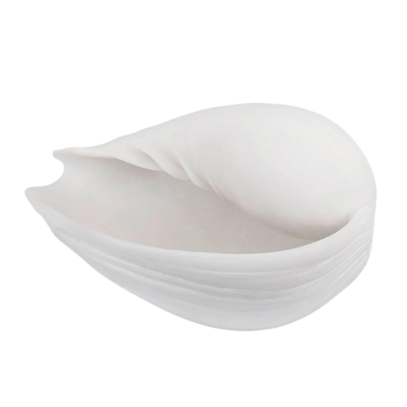 Mette Ditmer-collectie Schelp Conch, Klein Gebroken Wit