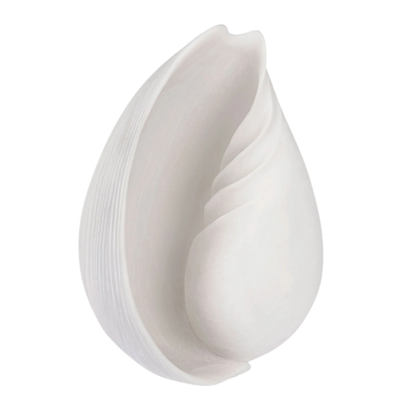 Mette Ditmer-collectie Conch Schelp, Groot Gebroken Wit