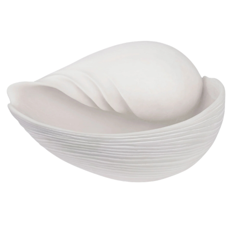 Mette Ditmer-collectie Conch Schelp, Groot Gebroken Wit