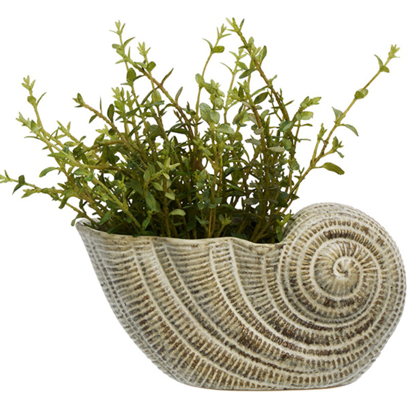 Madam Stoltz-collectie Schelp pot  van aardewerk Gebroken wit bruin