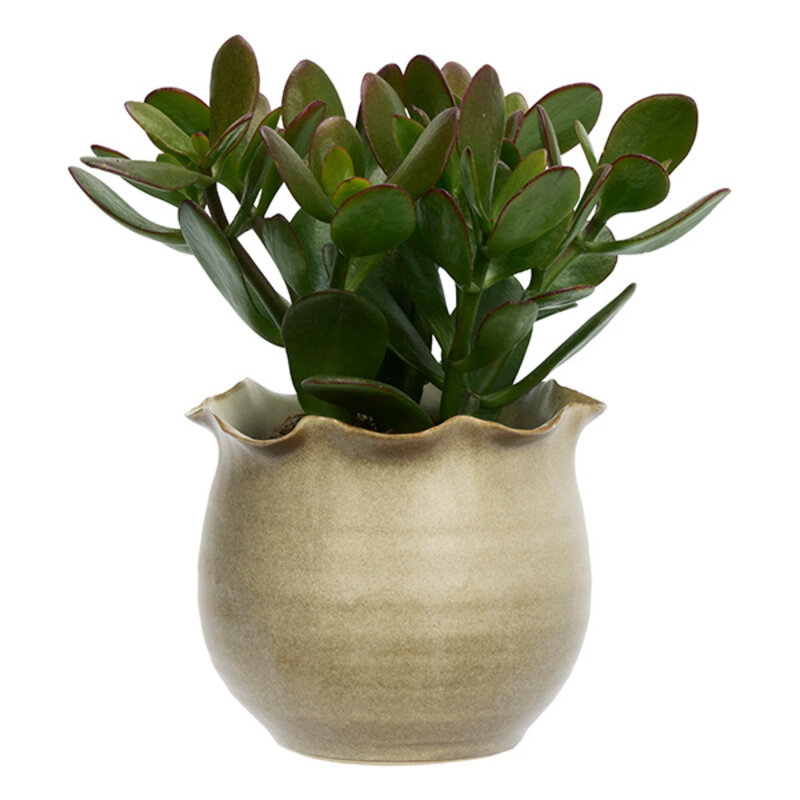 Madam Stoltz-collectie Bloempot van aardewerk beige