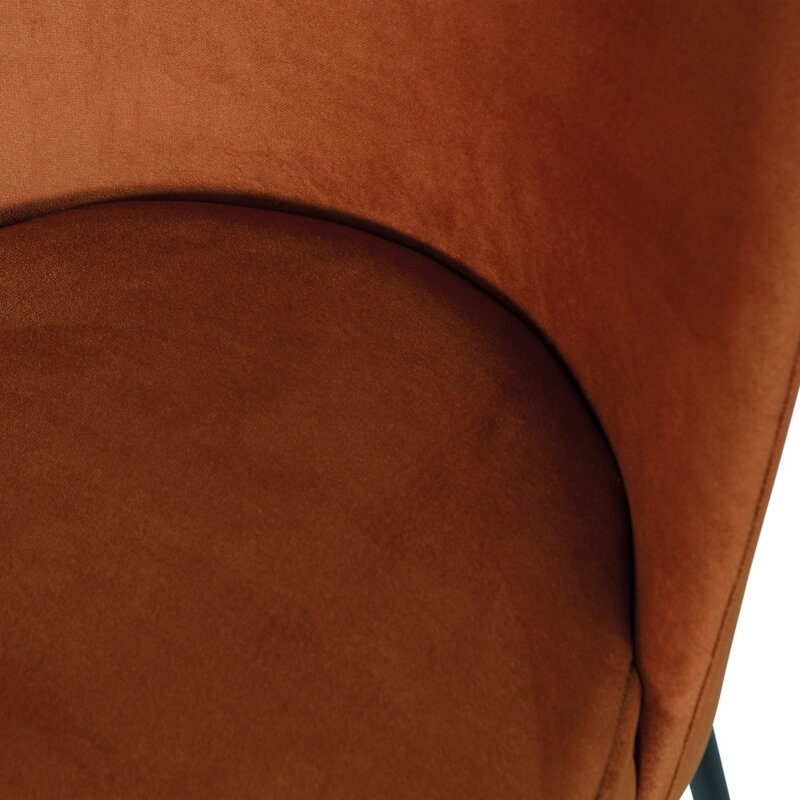 WOOOD-collectie VOGUE EETKAMERSTOEL VELVET ROEST (set of 2)