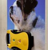 Ophangsysteem St. Bernard AED