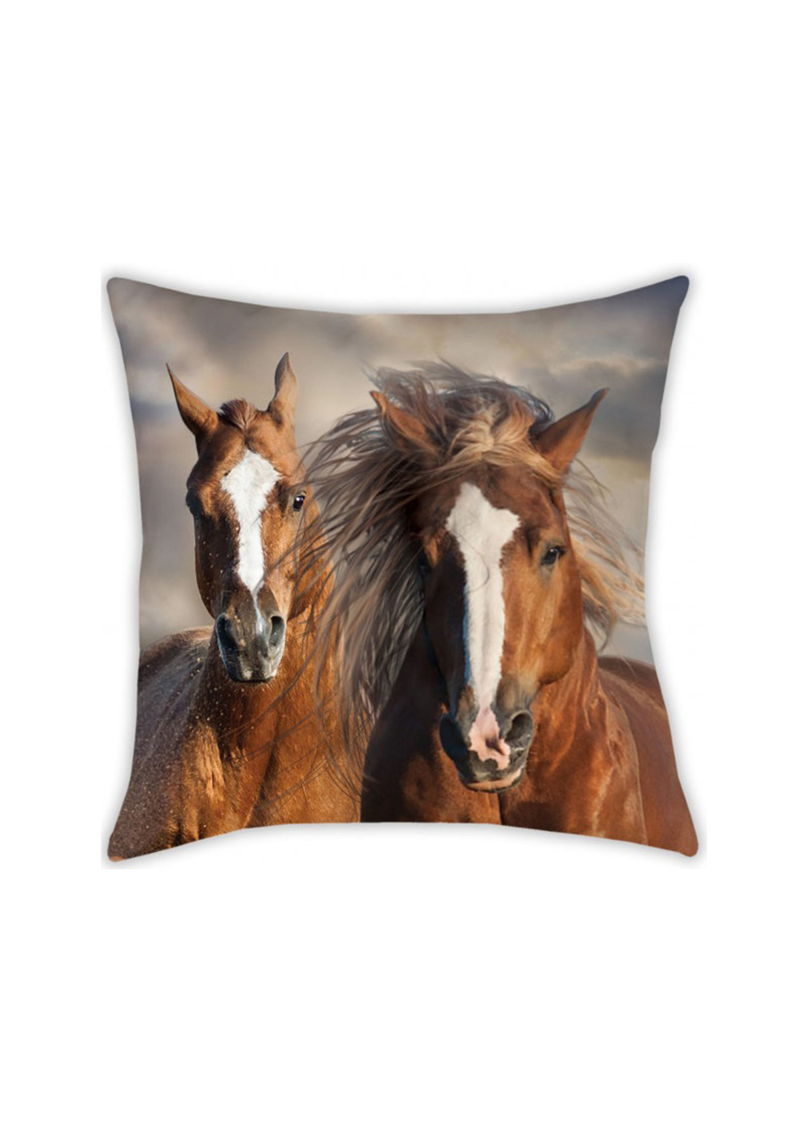 Animal Pictures Horses Cushion