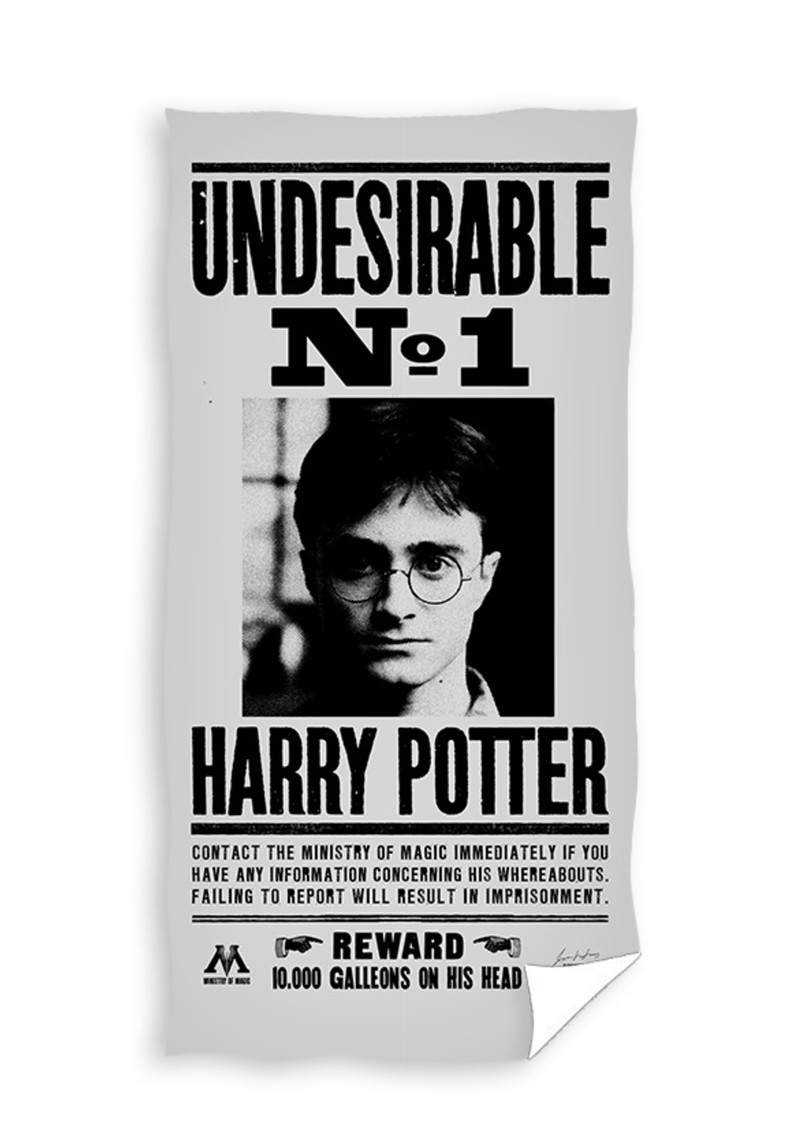 Warner Bros Harry Potter Handdoek Badlaken