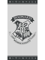 Warner Bros Harry Potter Hand Towel Logo