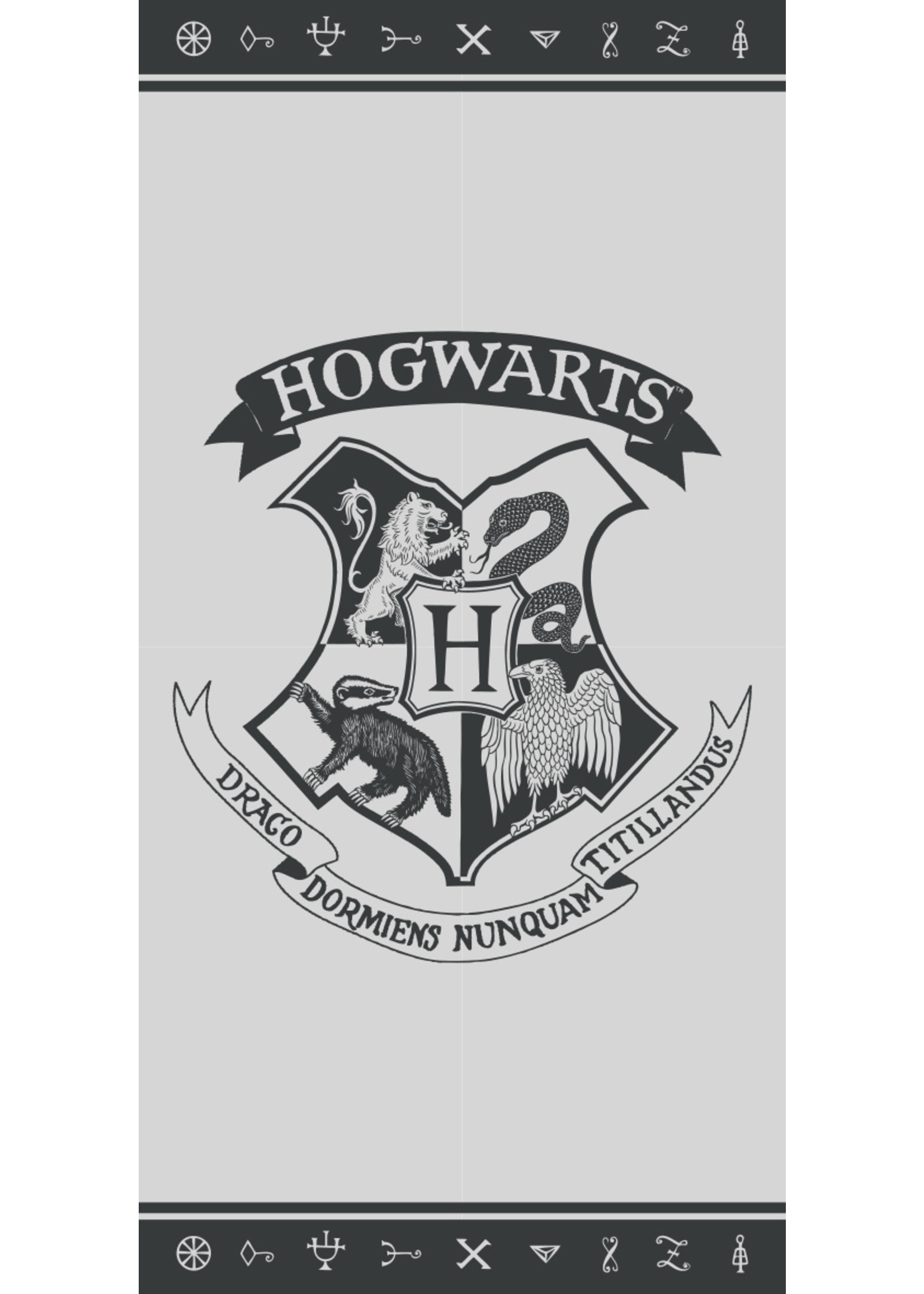 Warner Bros Harry Potter Hand Towel Logo