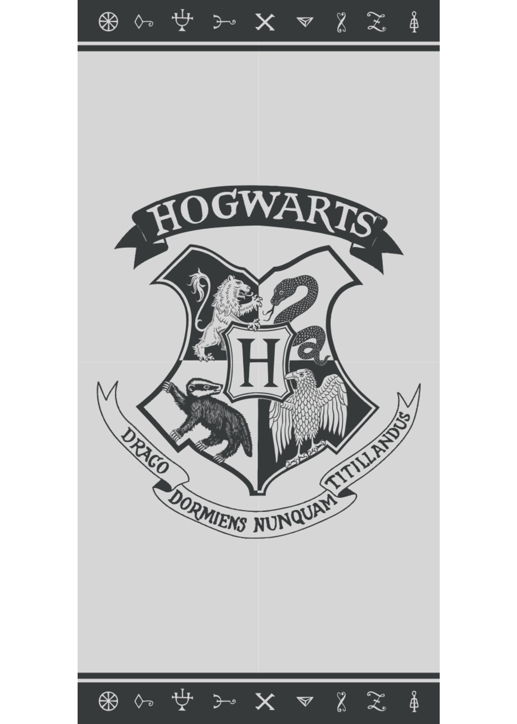 Warner Bros Harry Potter Handdoek Logo