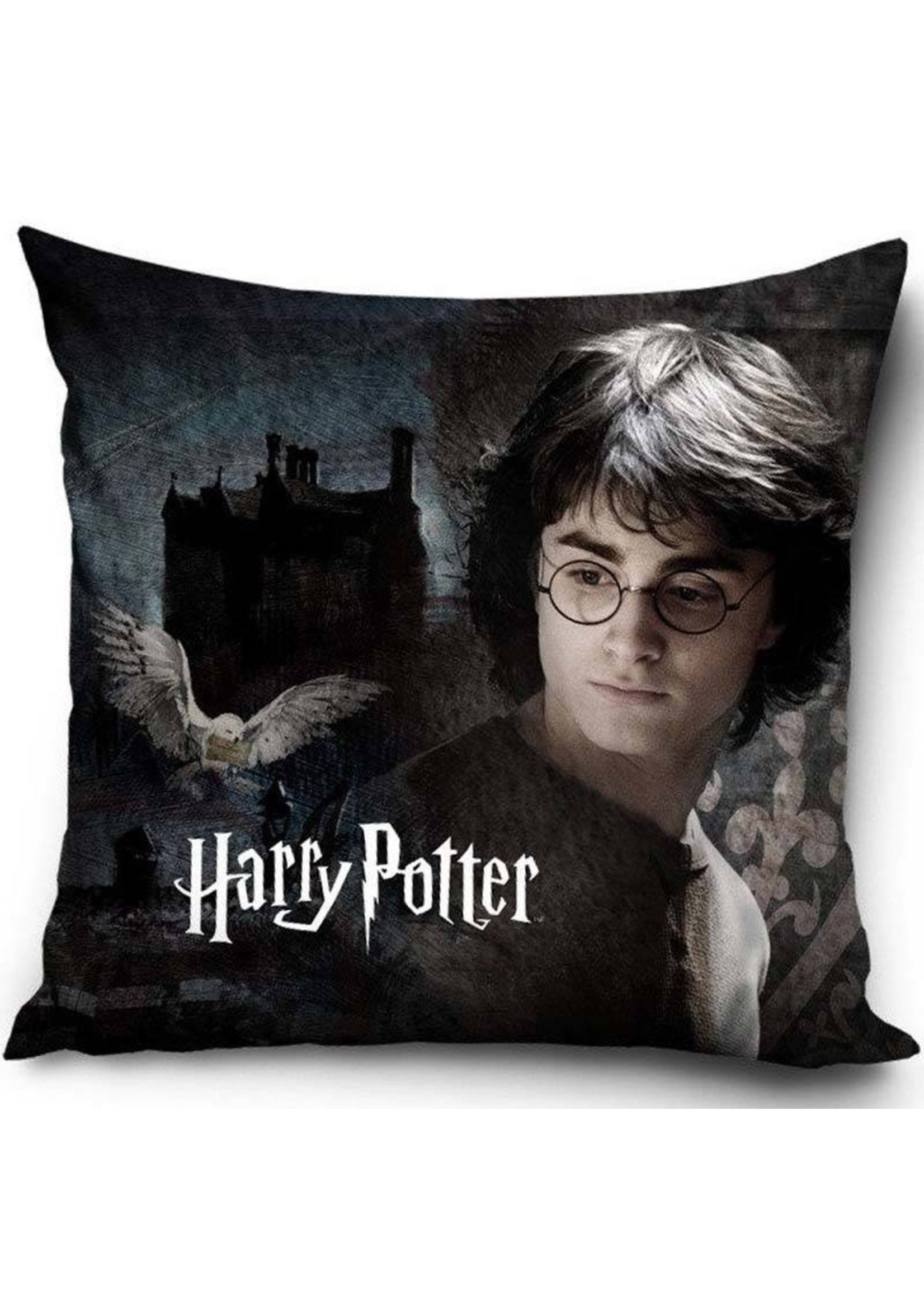 Warner Bros Harry Potter Kussensloop 40x40 Polyester