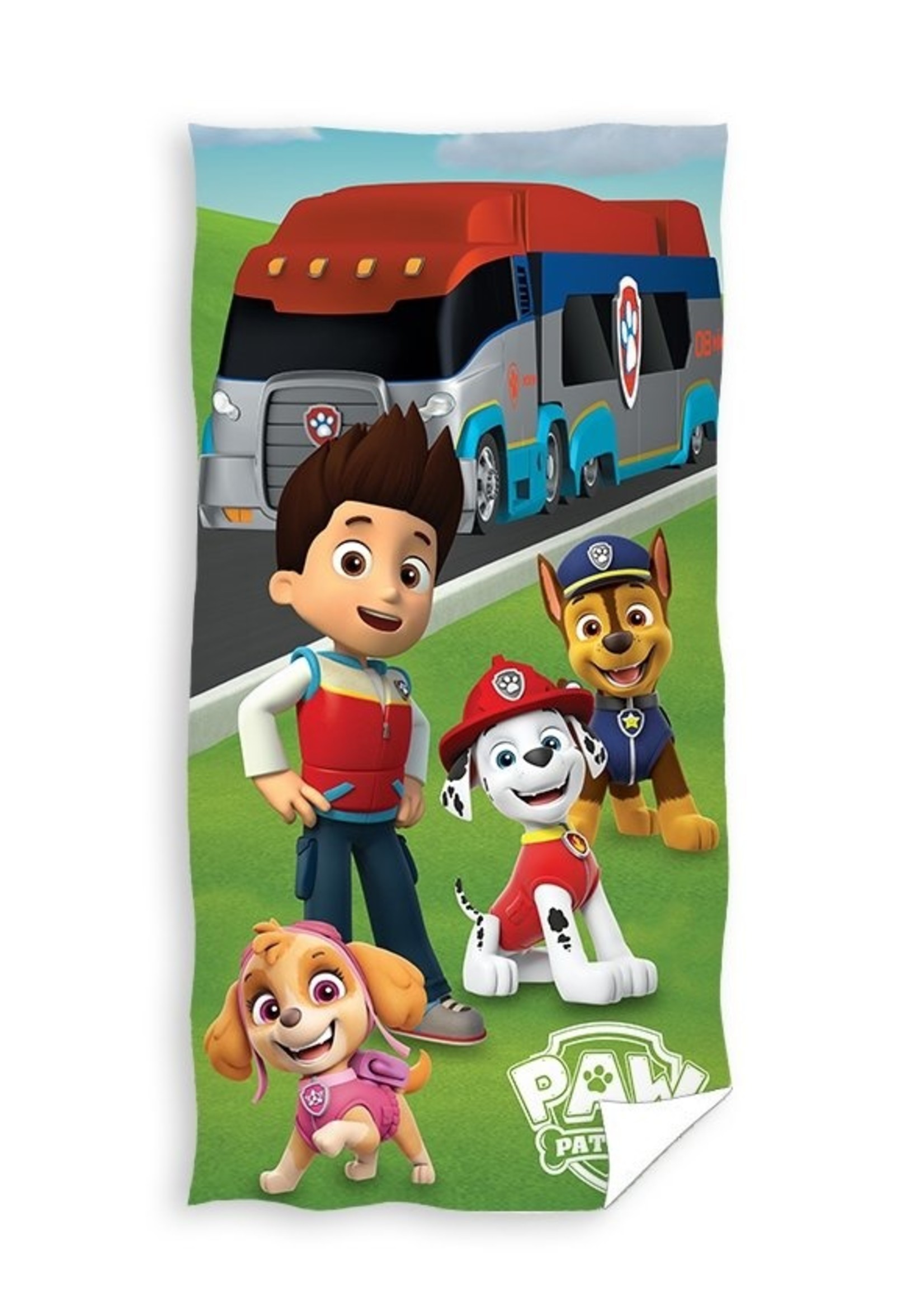 Nickelodeon Paw Patrol  Paw Patrol  Hand Towel Team