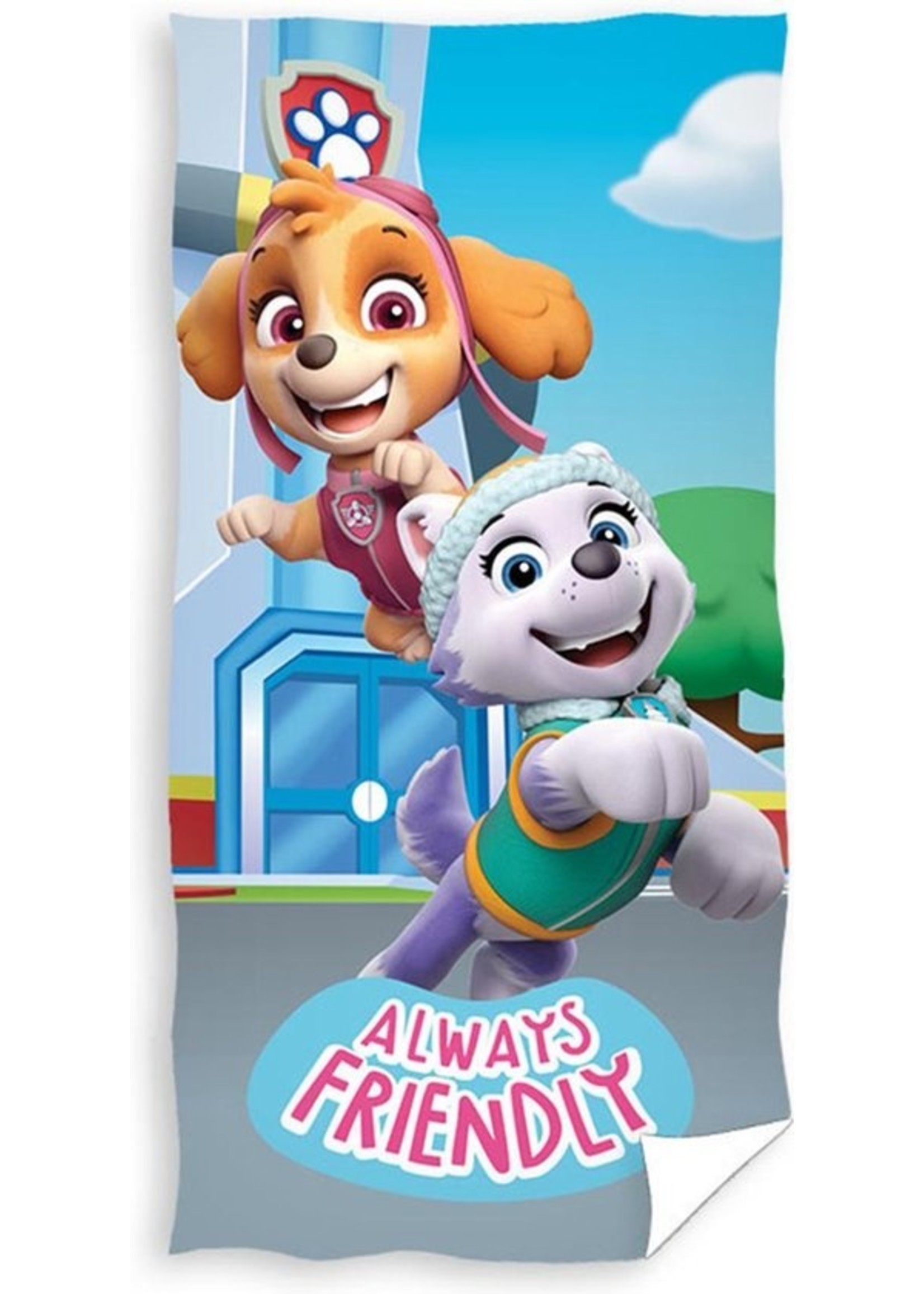 Nickelodeon Paw Patrol  Paw Patrol  Hand Towel Team