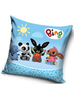 Bing Cushion 40x40cm