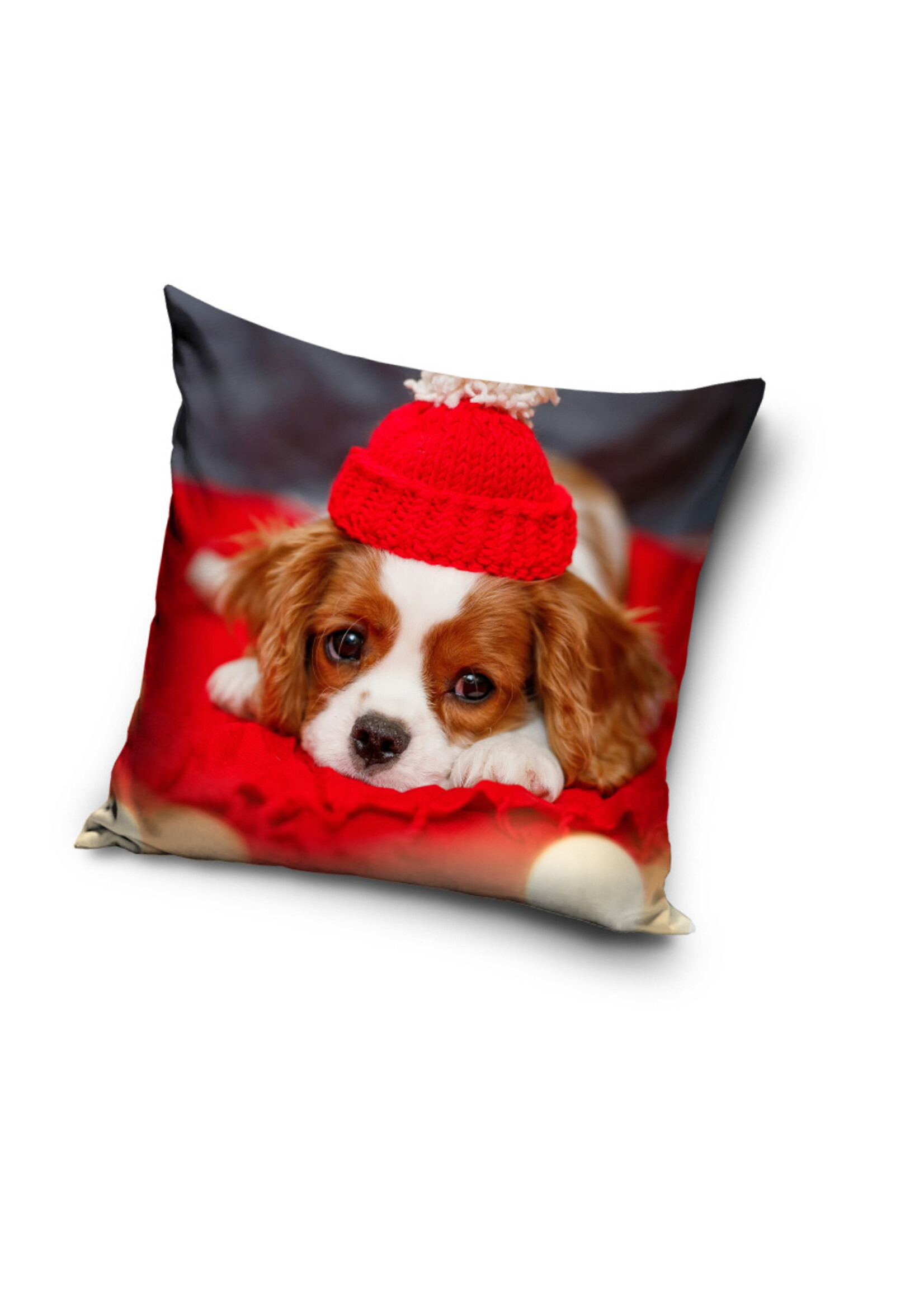 Animal Pictures Puppy Cushion