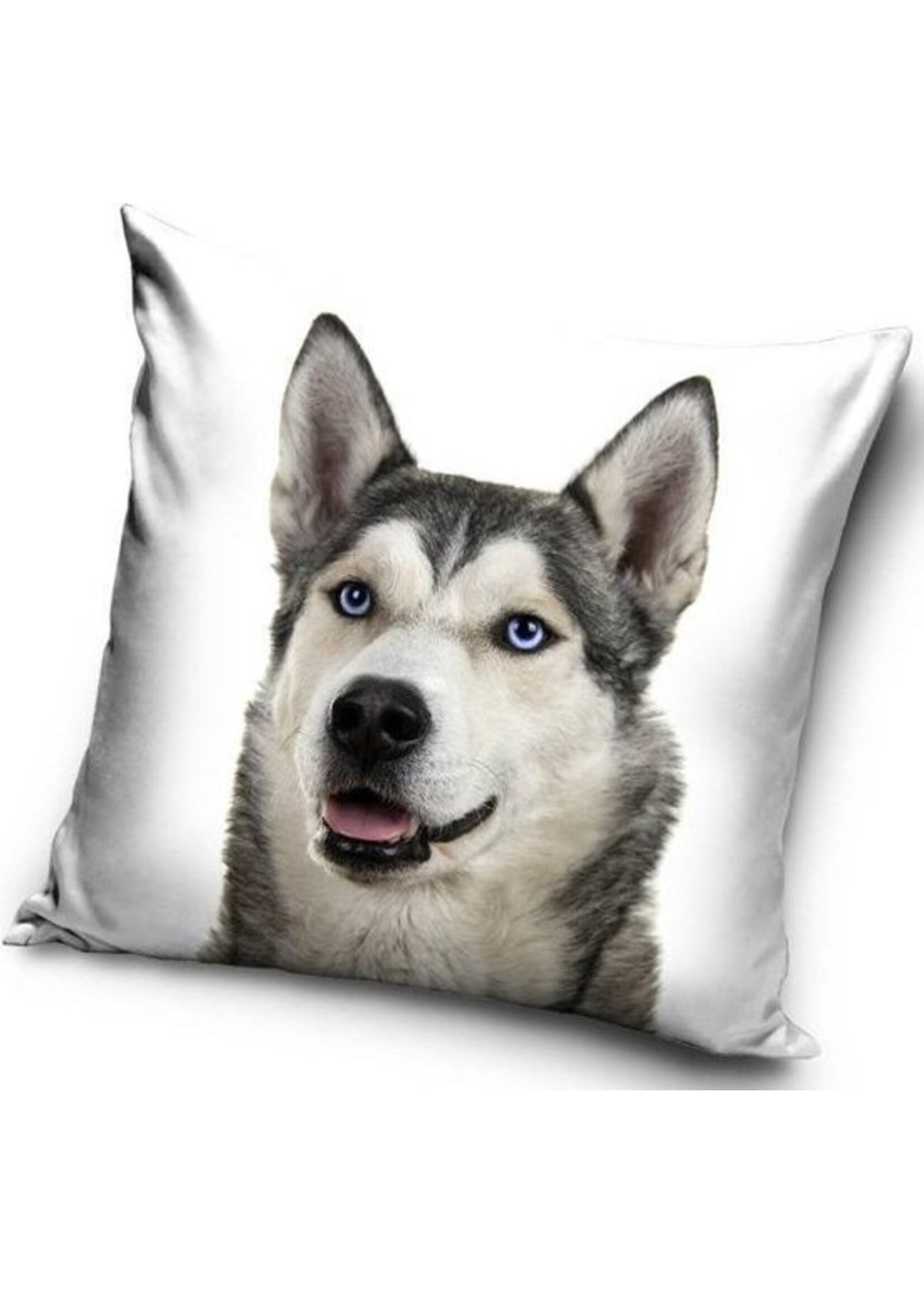 Husky Dog Cushion