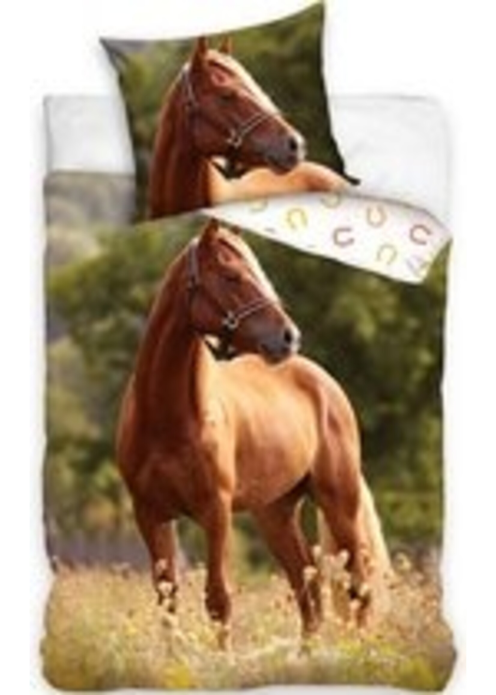 Animal Pictures Animal Pictures Single Person Duvet Horse