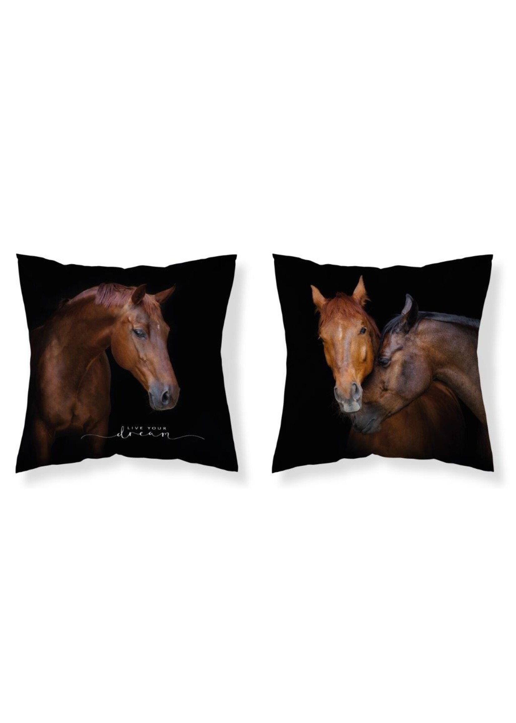 Horses  cushion 40x40cm
