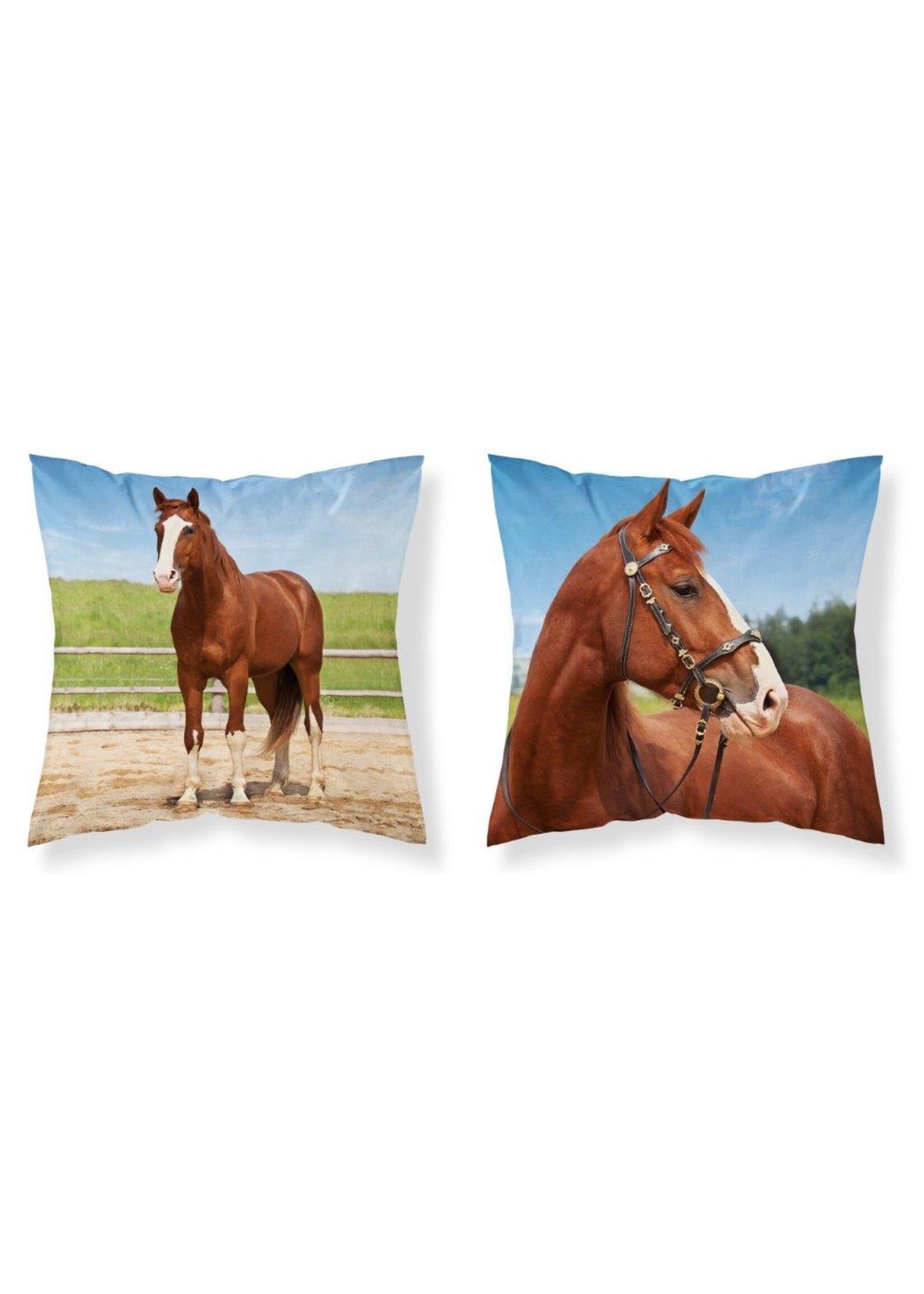 Paard sierkussen 40x40cm met vulling Paard kussen