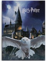 Harry Potter Harry Potter Fleece Blanket Hogwarts Hedwig - 100 x 140 cm - Polyester