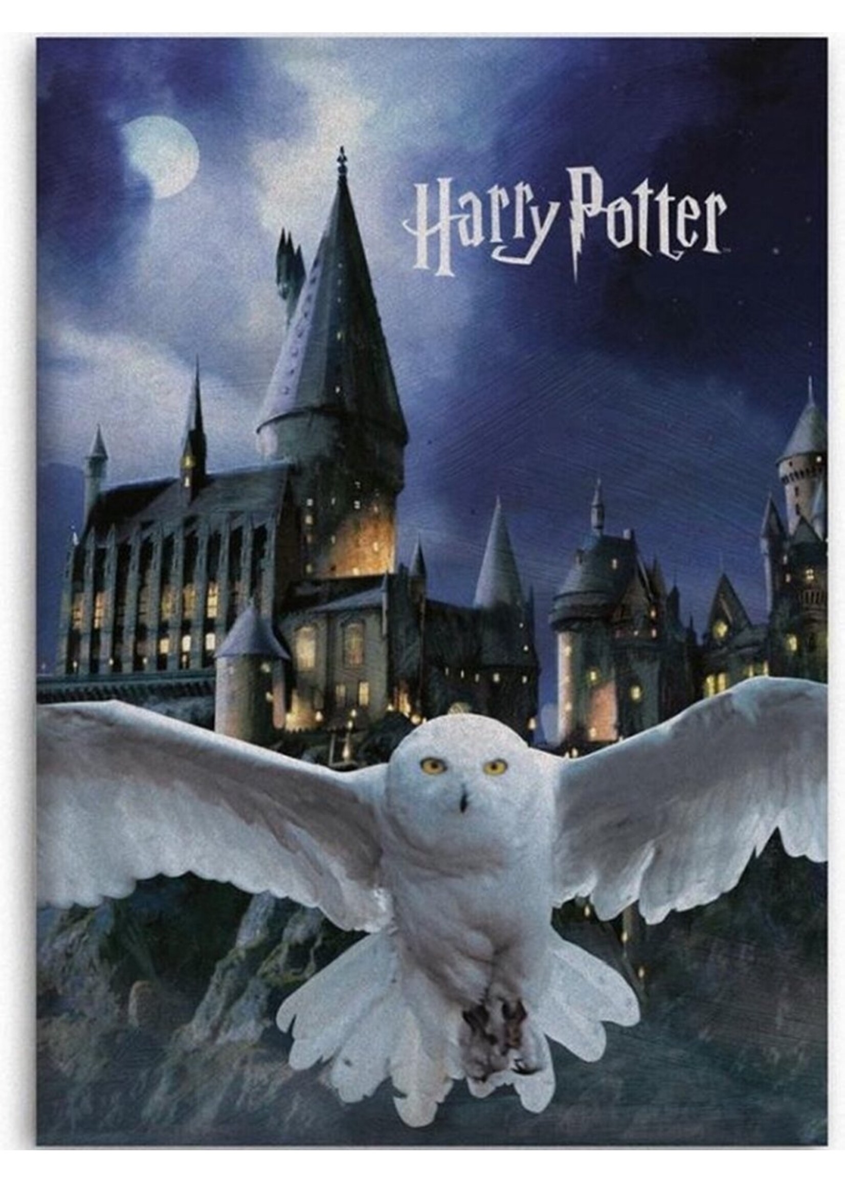 Harry Potter Harry Potter Fleece Blanket Hogwarts Hedwig - 100 x 140 cm - PolyesterHarry Potter Fleece blanket Cartoon - Copy