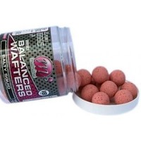 Mainline High Impact Salty Squid Balanced Wafters 15mm