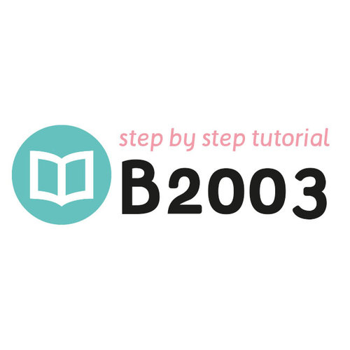 Tutorial B2003