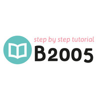 Tutorial B2005