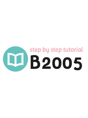 Tutoriel B2005