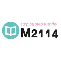 Tutorial M2114
