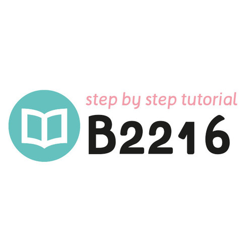 Tutorial B2216