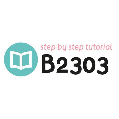 Tutorial B2303