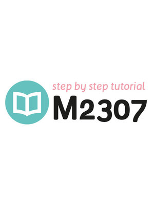 Tutoriel M2307