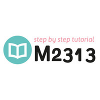 Tutorial M2313