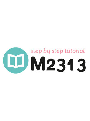 Tutoriel M2313