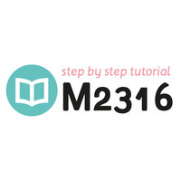 Tutorial M2316