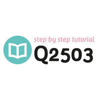 Tutorial Q2503