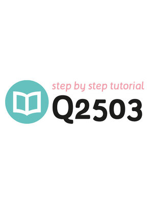 Tutoriel Q2503