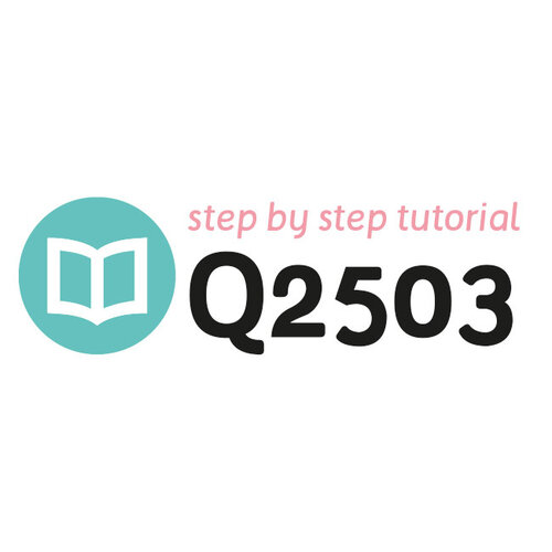 Tutoriel Q2503