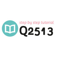 Tutorial Q2513