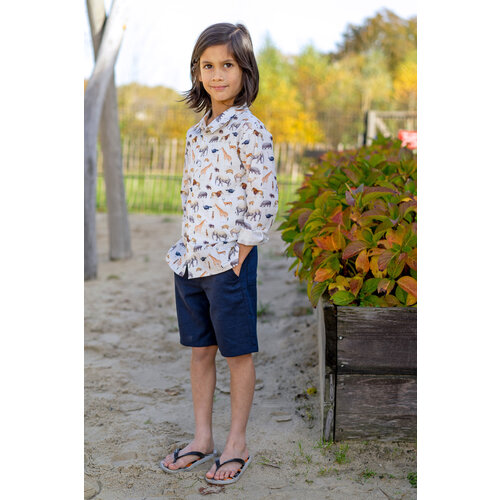 Download/Ebook P1243 Blouse Styn Download/Ebook P1243 Blouse Styn