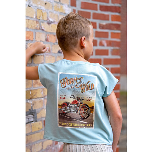 Patches Strijkapplicatie Born to be Wild Patches Strijkapplicatie Born to be Wild