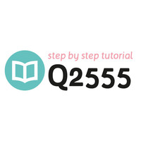 Tutorial Q2555