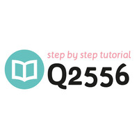 Tutorial Q2556