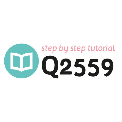 Tutorial Q2559