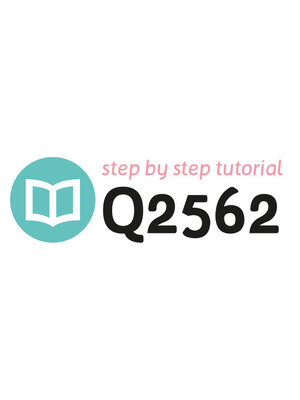 Tutorial Q2562
