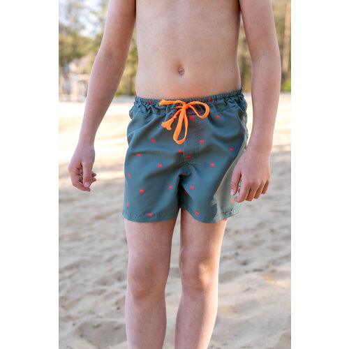 Download/Ebook P1269 Swim shorts Lowen Download/Ebook P1269 Swim shorts Lowen