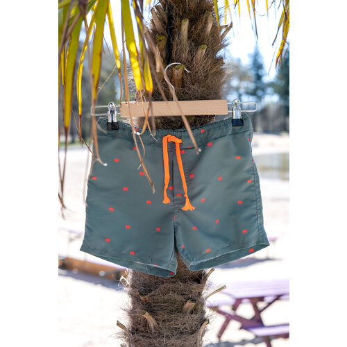 Download/Ebook P1269 Swim shorts Lowen Download/Ebook P1269 Swim shorts Lowen