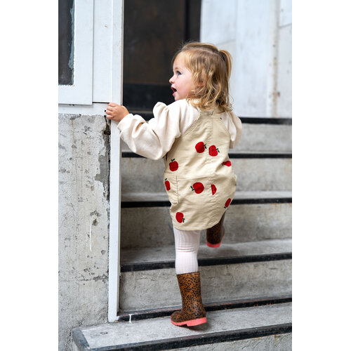 Download/Ebook P1279 Robe Kali Download/Ebook P1279 Robe Kali