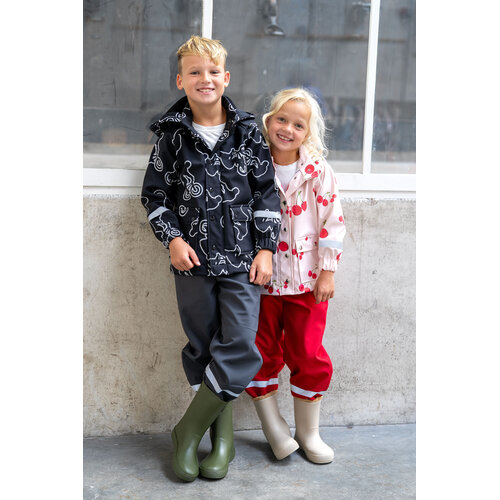 Download/Ebook P1281 Regenpak Morgan