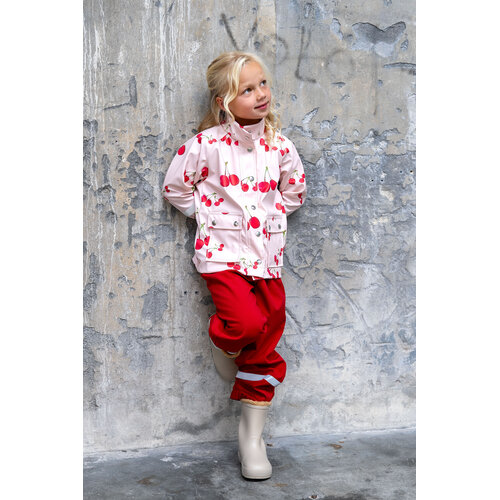 Download/Ebook P1281 Regenpak Morgan